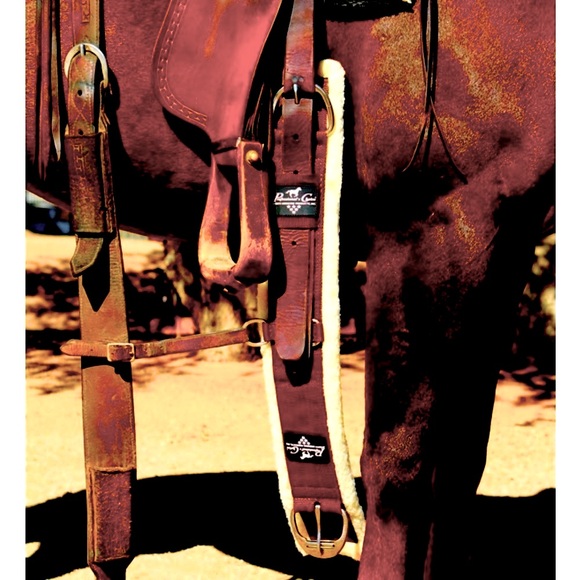Western Leather Rear Cinch Brown - Picture 1 of 9